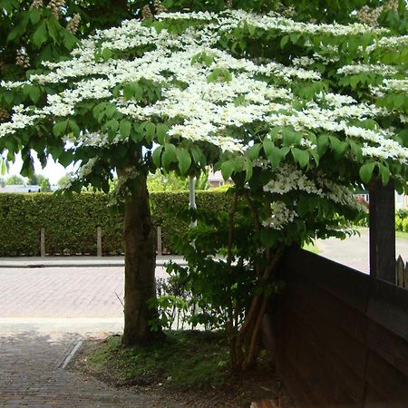 Logement-B&B Safier Joure Bagian luar foto