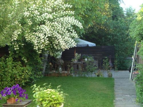 Logement-B&B Safier Joure Bagian luar foto